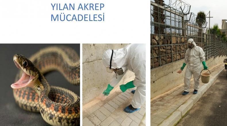 yılan zehiri ilaçları 